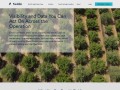 Field In